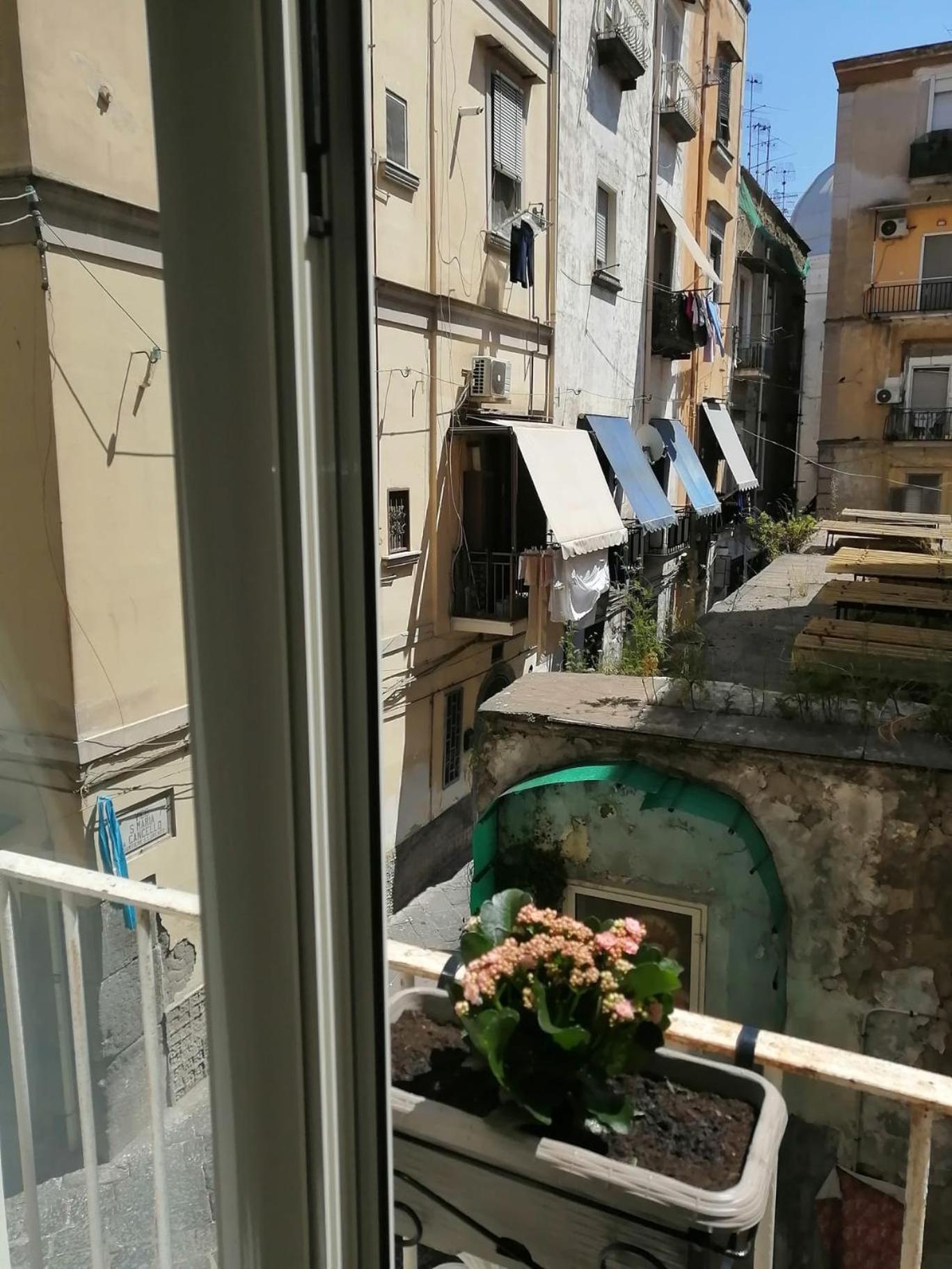 شقة Il Vicoletto Sul Castello نابولي المظهر الخارجي الصورة